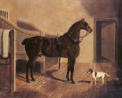 A Favorite Coach Horse and Dog in a Stable - 约翰·弗雷德里克·赫尔林